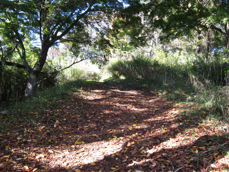 20201105hike (62)